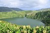 _DSC4102