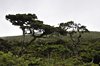 _DSC4153