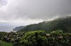 _DSC3877